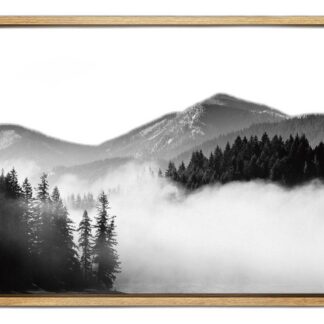 Framed Canvas