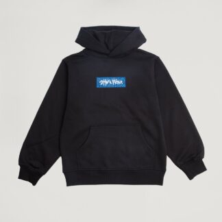 Paisley Hoodie